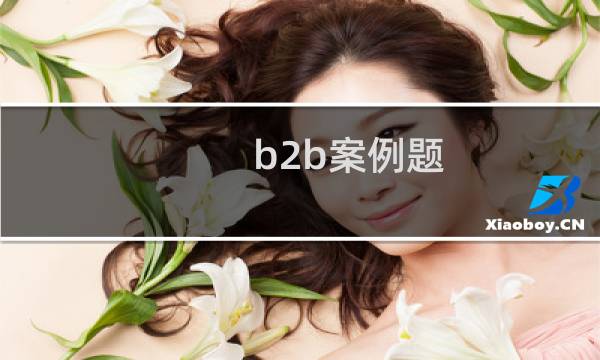 b2b案例题
