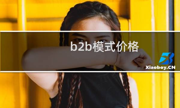 b2b模式价格