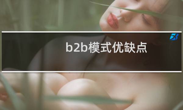 b2b模式优缺点