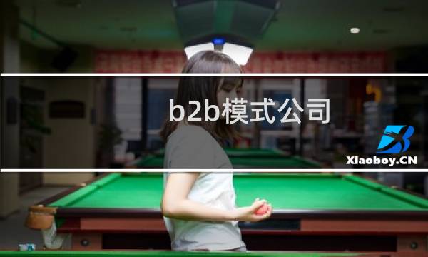 b2b模式公司