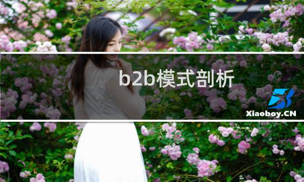 b2b模式剖析