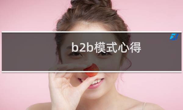 b2b模式心得