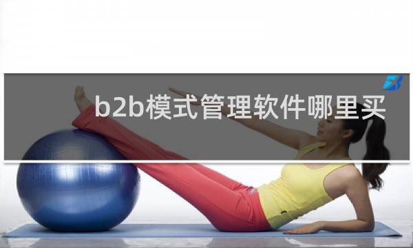 b2b模式管理软件哪里买