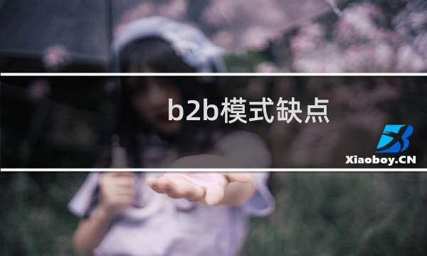 b2b模式缺点