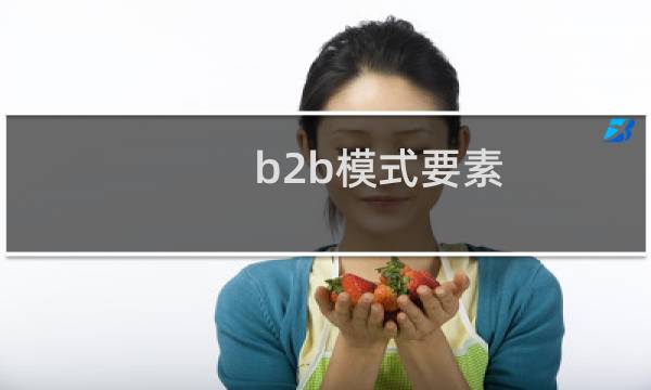 b2b模式要素