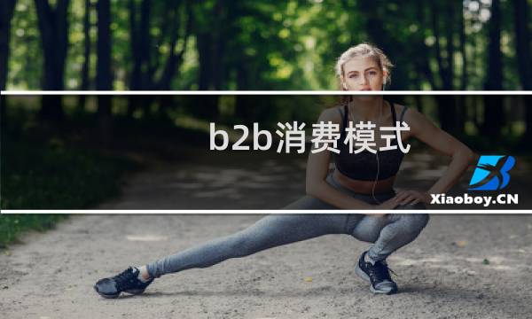 b2b消费模式