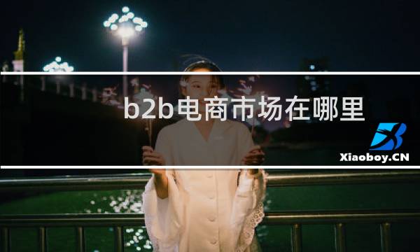 b2b电商市场在哪里
