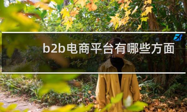 b2b电商平台有哪些方面