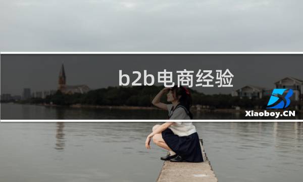 b2b电商经验