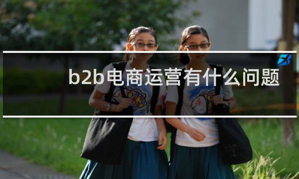 b2b电商运营有什么问题