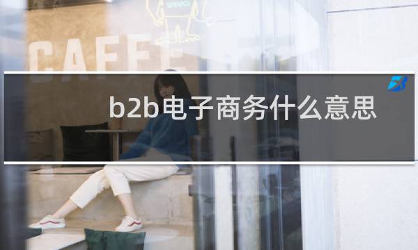 b2b电子商务什么意思