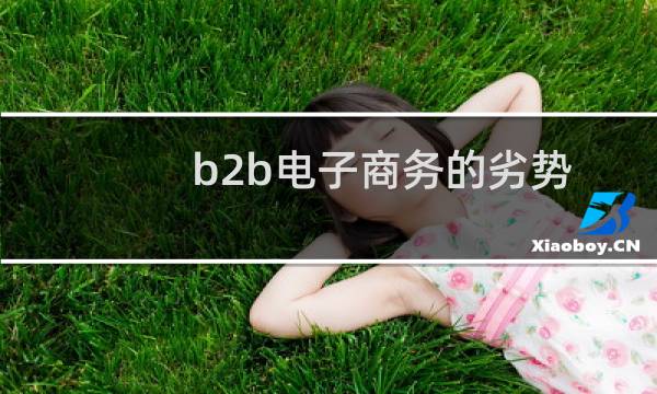 b2b电子商务的劣势