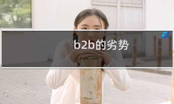 b2b的劣势