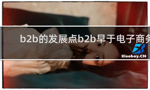 b2b的发展点b2b早于电子商务
