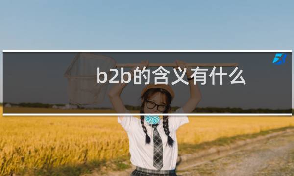b2b的含义有什么