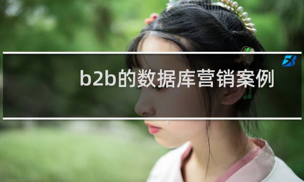b2b的数据库营销案例