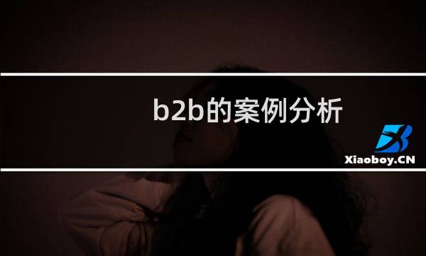 b2b的案例分析