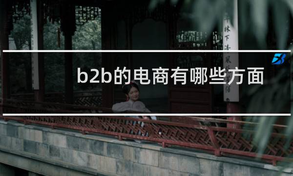 b2b的电商有哪些方面