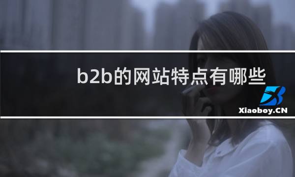 b2b的网站特点有哪些