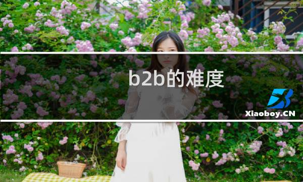 b2b的难度