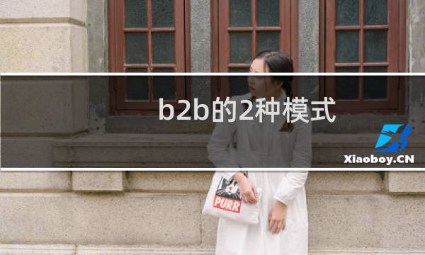 b2b的2种模式