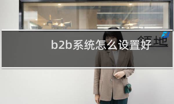 b2b系统怎么设置好