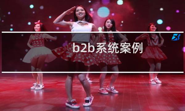 b2b系统案例