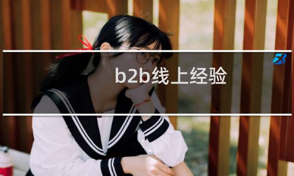 b2b线上经验