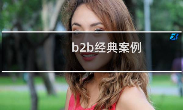 b2b经典案例