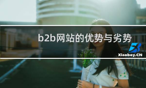 b2b网站的优势与劣势