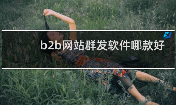 b2b网站群发软件哪款好