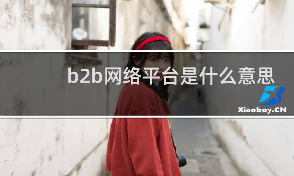 b2b网络平台是什么意思