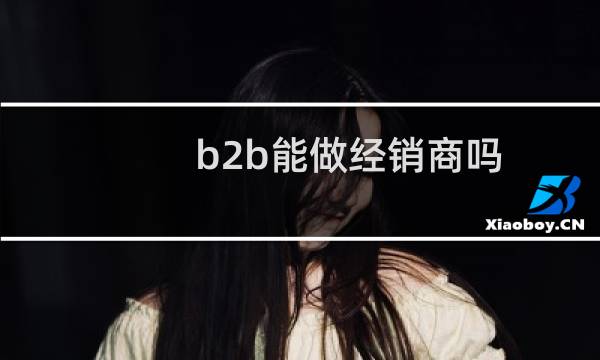 b2b能做经销商吗