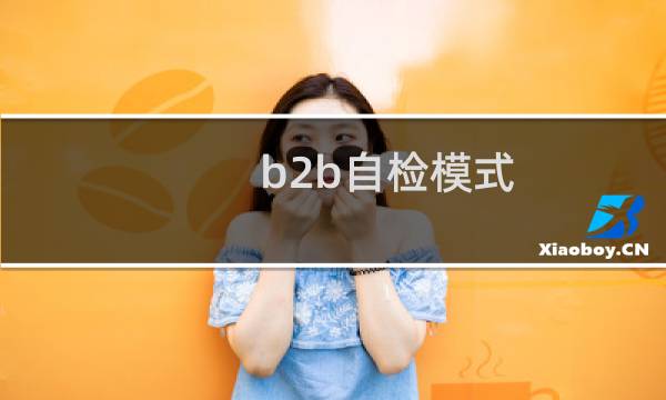 b2b自检模式