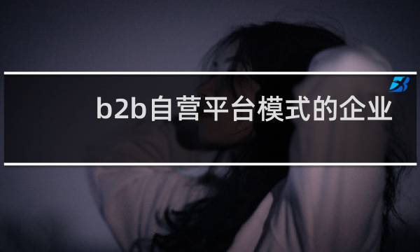 b2b自营平台模式的企业