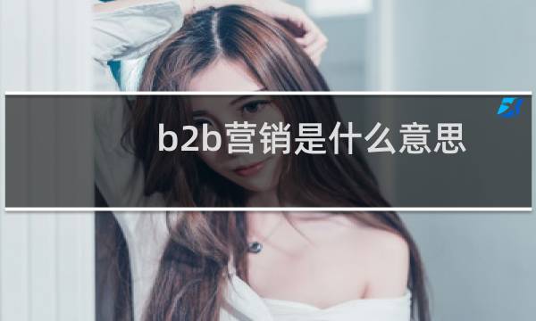 b2b营销是什么意思