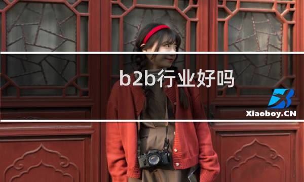 b2b行业好吗