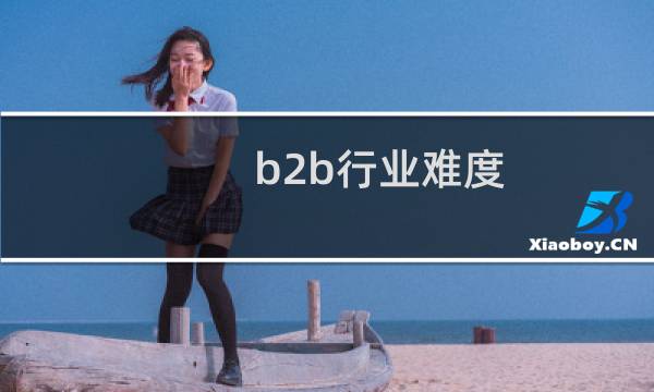 b2b行业难度