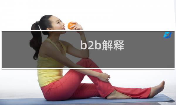 b2b解释