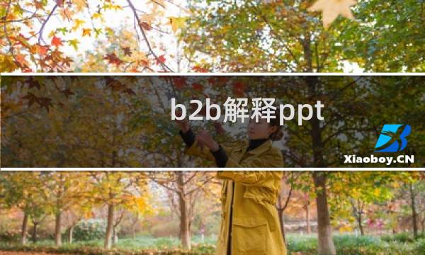b2b解释ppt
