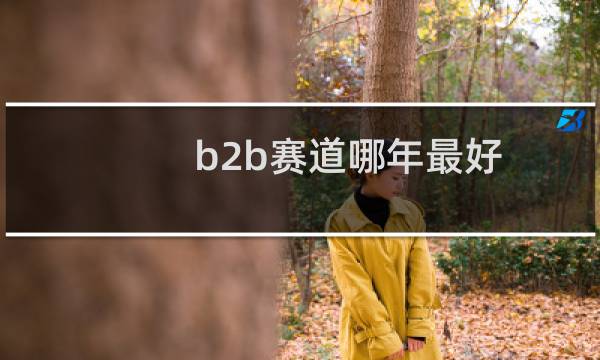 b2b赛道哪年最好
