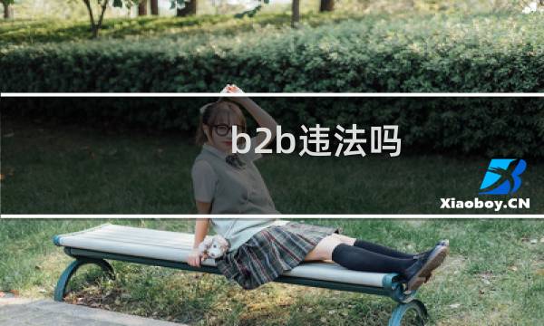 b2b违法吗