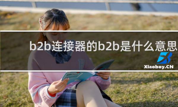 b2b连接器的b2b是什么意思
