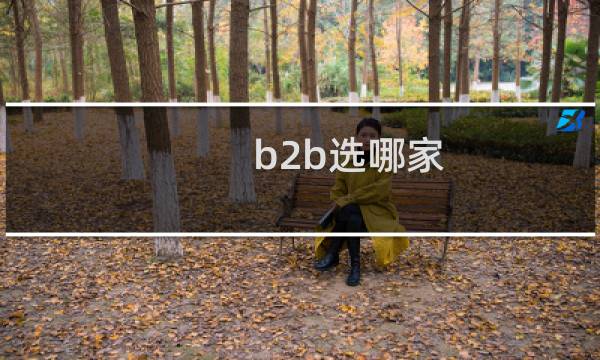 b2b选哪家