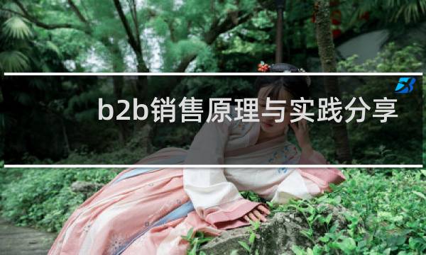 b2b销售原理与实践分享