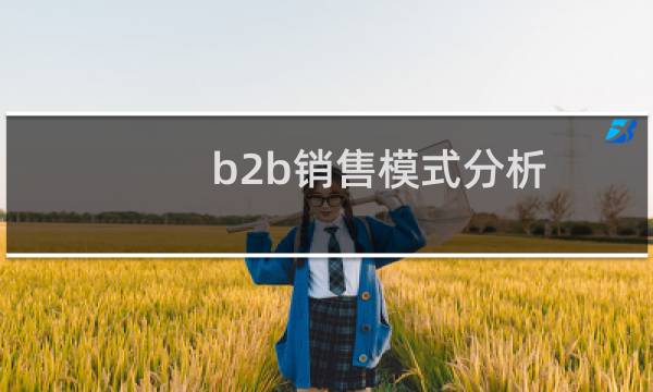 b2b销售模式分析