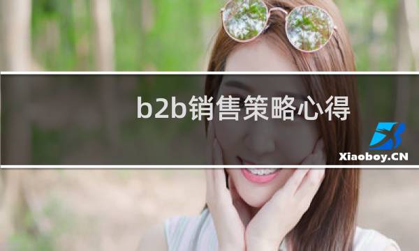 b2b销售策略心得
