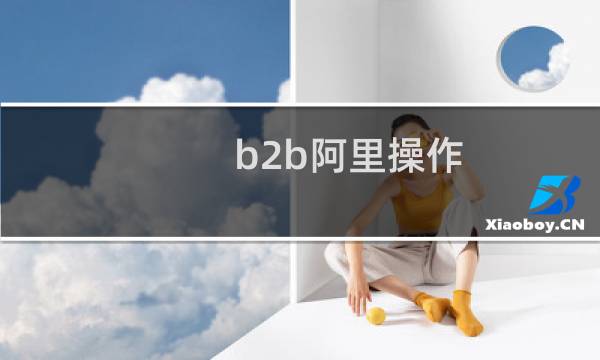b2b阿里操作