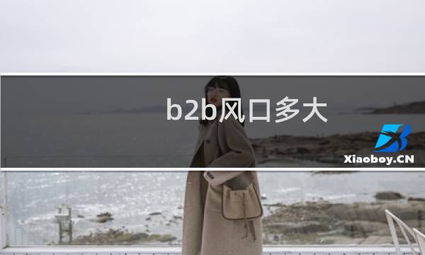 b2b风口多大