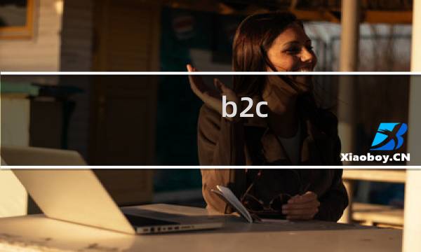 b2c b2b哪个好做